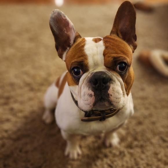 I'm Maegan 💋 Welcome to my closet! - Picture 4 of 4